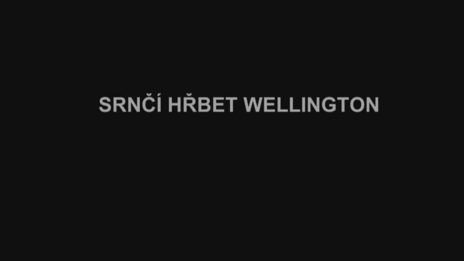 Náhled videa
