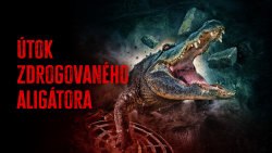 Útok zdrogovaného aligátora