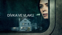Dívka ve vlaku 