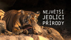 Největší jedlíci přírody