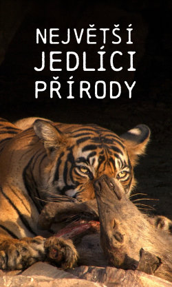 Největší jedlíci přírody