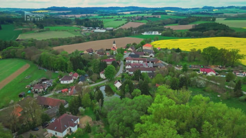 Berky u grilu - Prostřeno! S31 (115)