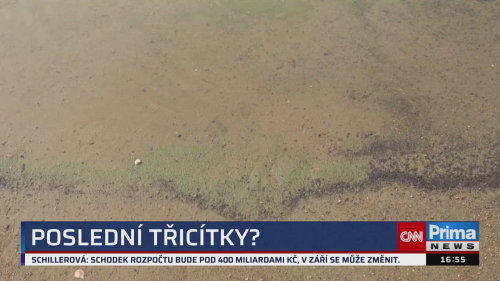 ZPRÁVY Z REGIONŮ, 30.8. v 16:55