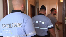 Policie v akci