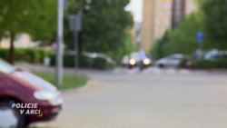 Policie v akci