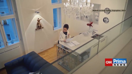 Etzler promluvil o pomoci od Lucie Bílé