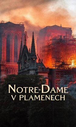 Notre-Dame v plamenech