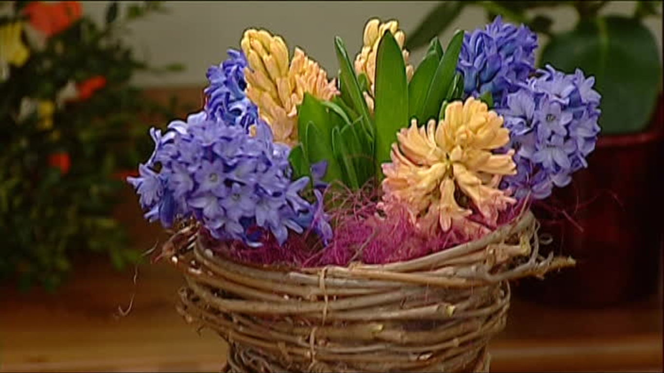 Receptář prima nápadů 2011 (12)