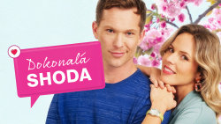Dokonalá shoda