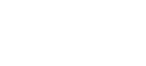 Dokonalá shoda