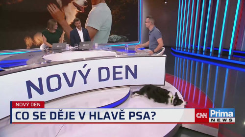 Nový den: Rozhovor s trenérem psů Robertem Zlochou