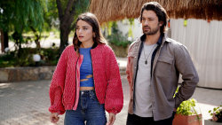 Láska s vůní oliv