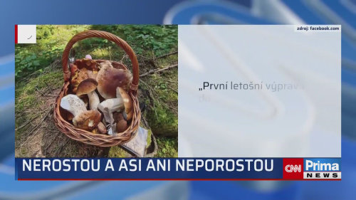 Houby možná ještě budou