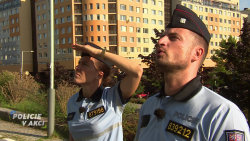 Policie v akci