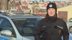 Policie v akci