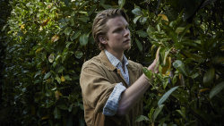 Detektiv Endeavour Morse