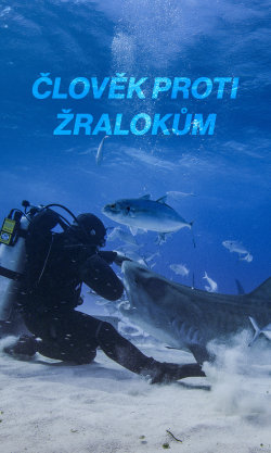 Člověk proti žralokům