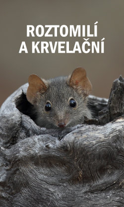 Roztomilí a krvelační