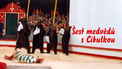 Šest medvědů s Cibulkou