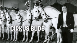 Cirkus bude