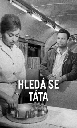 Hledá se táta