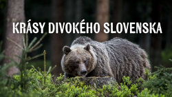 Krásy divokého Slovenska