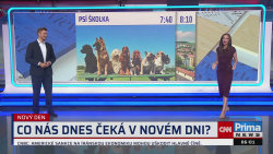 NOVÝ DEN