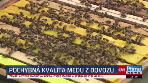 ZPRÁVY Z REGIONŮ, 11.6. v 16:55