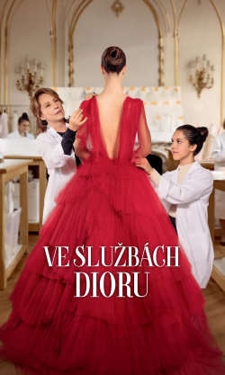 Ve službách Dioru