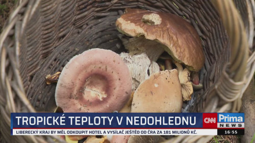 ZPRÁVY Z REGIONŮ - 28.7. v 16:55