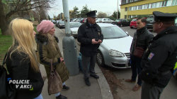 Policie v akci