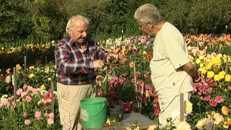 Receptář prima nápadů 2007 (30)