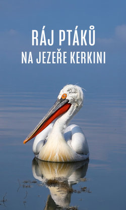 Ráj ptáků na jezeře Kerkini
