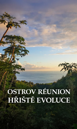 Ostrov Réunion: Hřiště evoluce