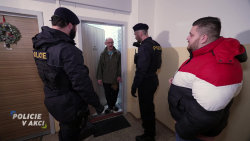 Policie v akci