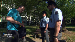 Policie v akci