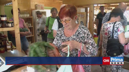 Léto je v plném proudu a s ním také vrcholí sezóna samosberů