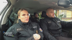 Policie v akci