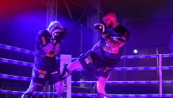 Fight House