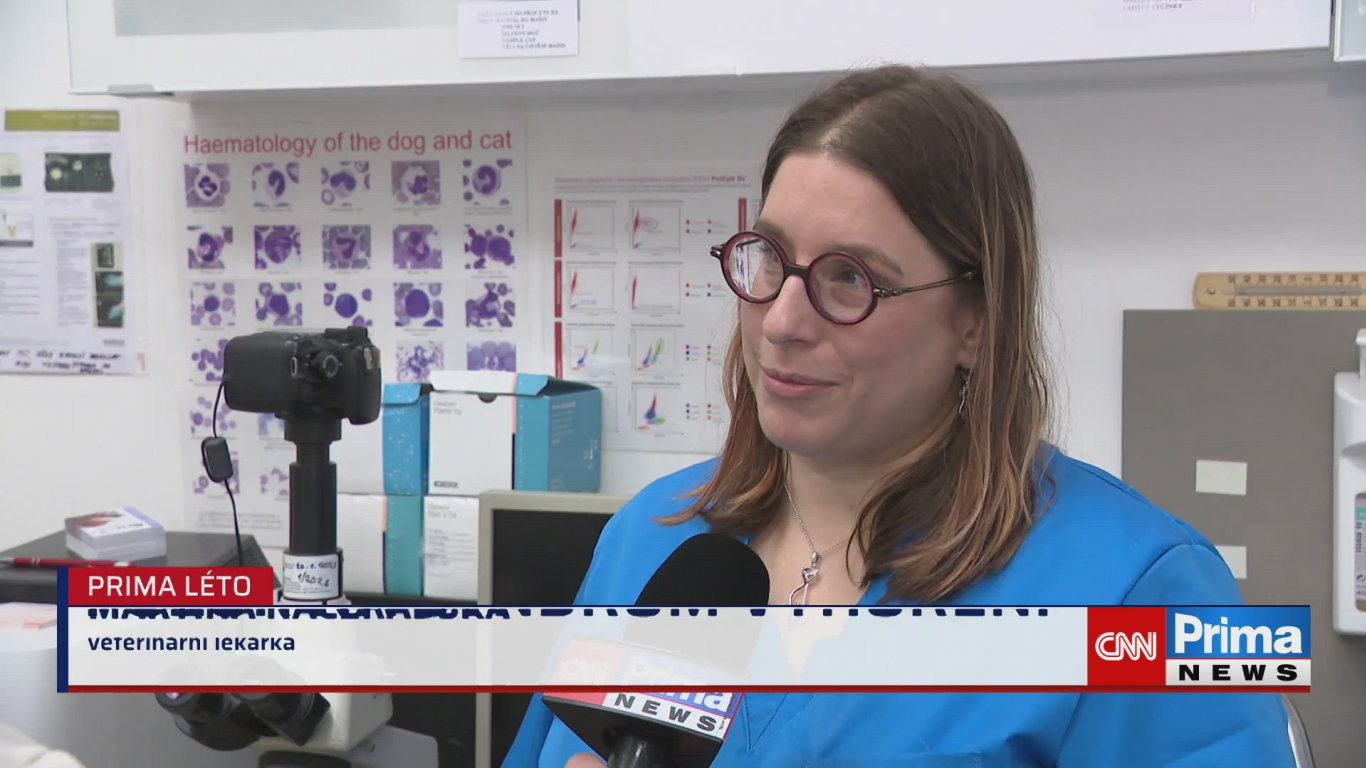 Prima ROK - 17.8. v 17:35 - Prima ROK - CNN Prima NEWS