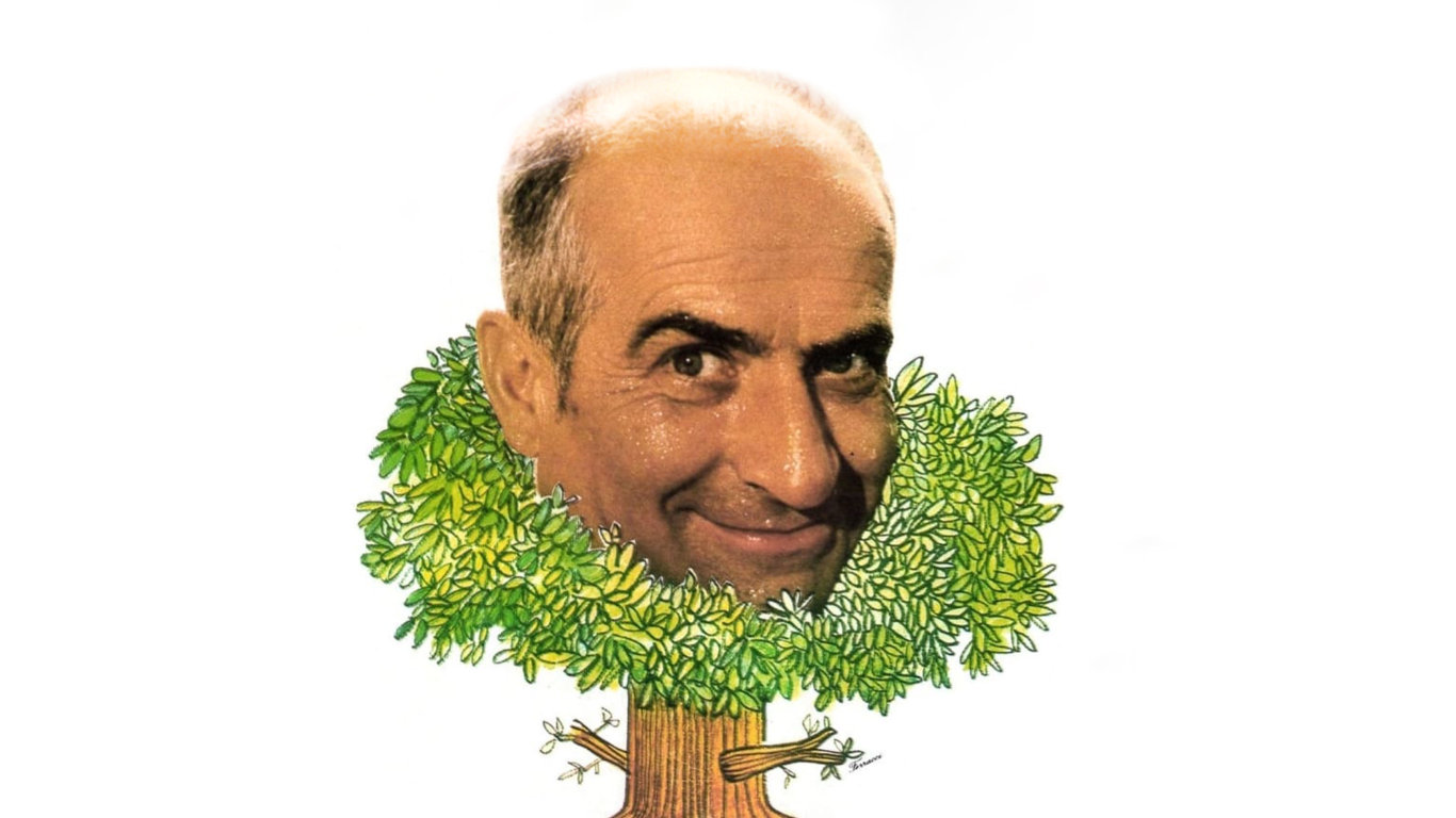 Na stromě