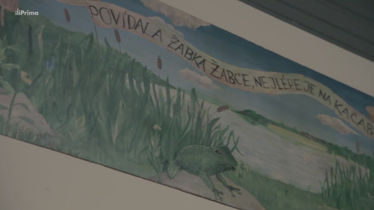 Náhled videa