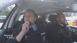Policie v akci