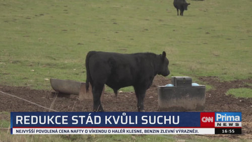 ZPRÁVY Z REGIONŮ, 23.10. v 16:55