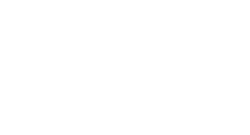 Živel