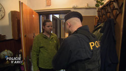 Policie v akci
