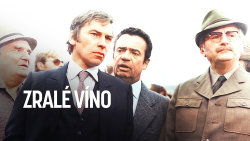 Zralé víno