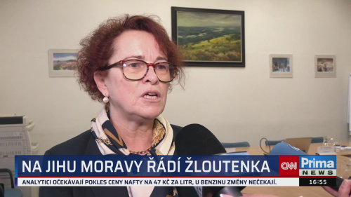 ZPRÁVY Z REGIONŮ, 8.10. v 16:55