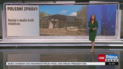 ZPRÁVY, 5.1. v 11:55