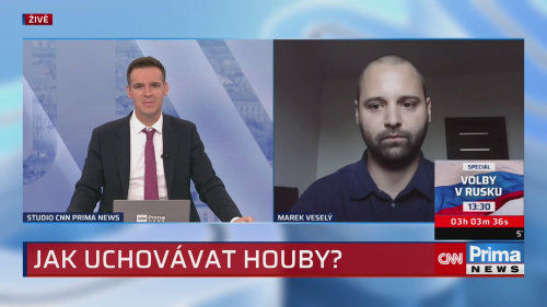 Jak uchovávat houby